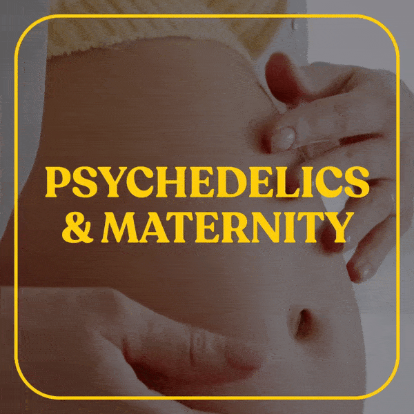 Psychedelics & Maternity Course (Code: Phoebe20 for $20 off) thumbnail