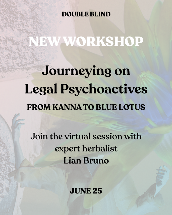 Journeying on Legal Psychoactives Workshop