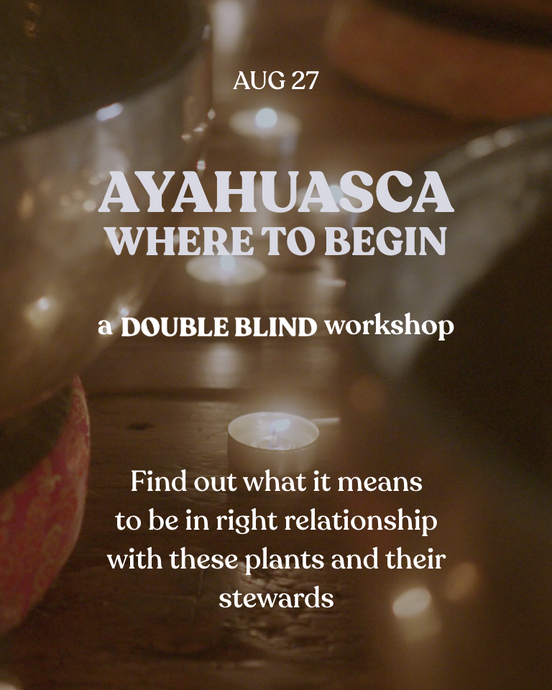 Ayahuasca: Right Relationship, Harm Reduction, & Where to Begin
