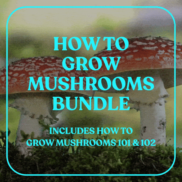 How to Grow Mushrooms Bundle