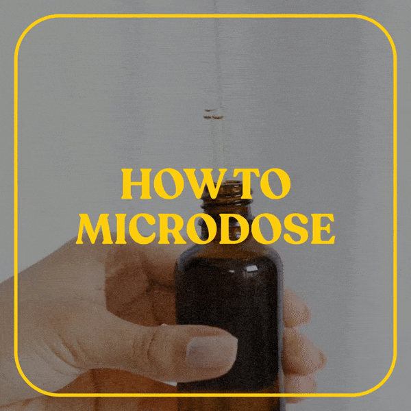 DB 101: Cómo Microdosis