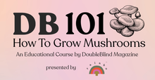 Load image into Gallery viewer, DB 101: How to Grow Mushrooms