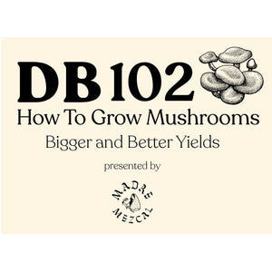 DB 102: Cómo cultivar hongos (intermedio)