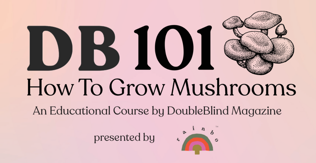 DB101: How to Grow Mushrooms - Special Discount