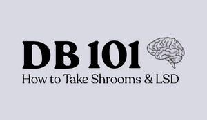 BONUS! How to Take Shrooms Mini-Course