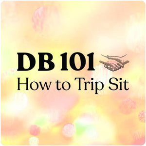 DB 101: How to Trip Sit