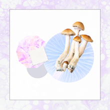 Load image into Gallery viewer, BONUS! How to Take Shrooms Mini-Course
